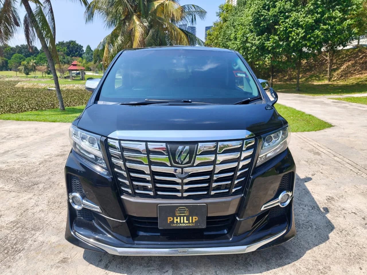 2016 Toyota Alphard SC — photo 7 of 34